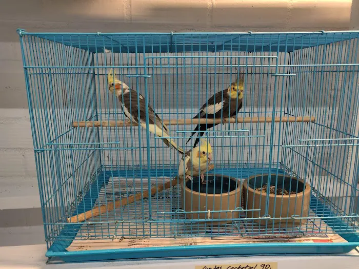 Feathered Friends & Critters Picture 1