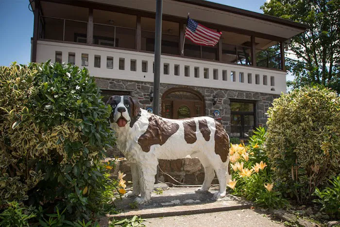 Mamaroneck Veterinary Hospital Picture 5
