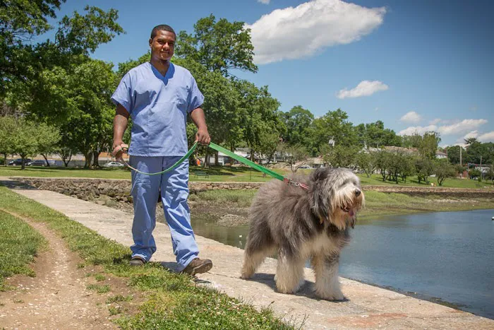 Mamaroneck Veterinary Hospital Picture 10
