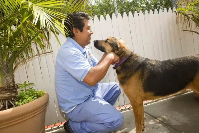 Mamaroneck Veterinary Hospital Picture 7