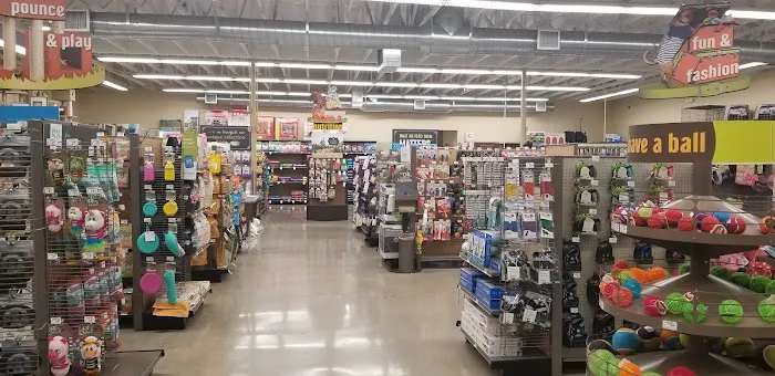 Unleashed by Petco Picture 3