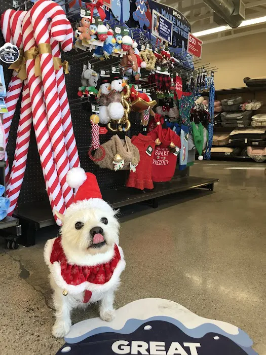Unleashed by Petco Picture 10