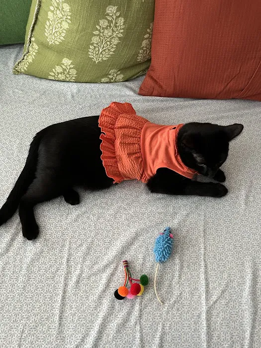 Unleashed by Petco Picture 1