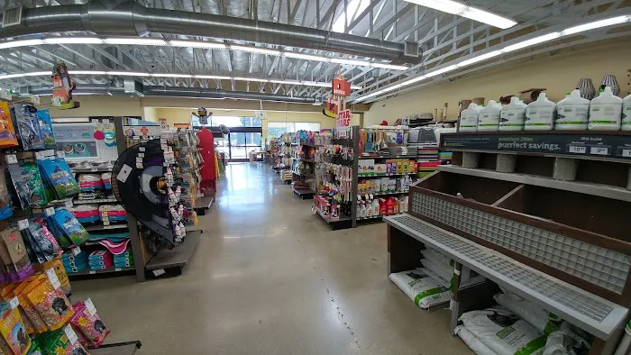 Unleashed by Petco Picture 9