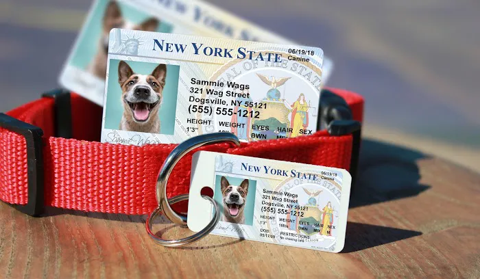 MyPetDMV - Pet Drivers License ID Tags Picture 3