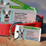 MyPetDMV - Pet Drivers License ID Tags