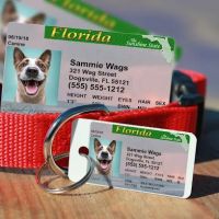 MyPetDMV - Pet Drivers License ID Tags ico