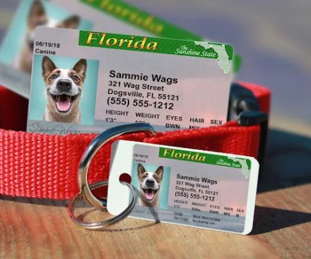 MyPetDMV - Pet Drivers License ID Tags