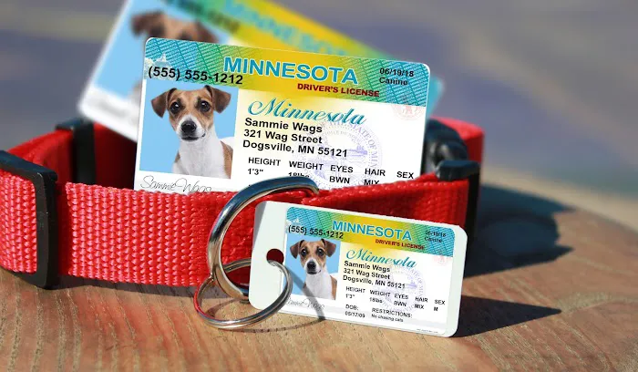 MyPetDMV - Pet Drivers License ID Tags Picture 7