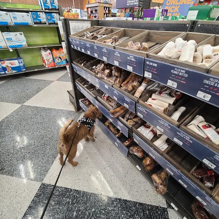 Petco Picture 7