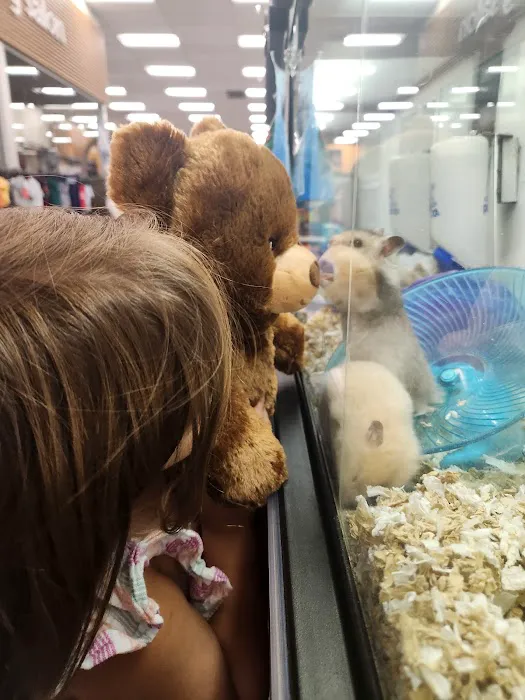 Petco Picture 10