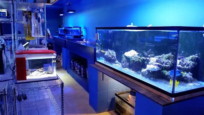 Deep Blue Aquarium Picture 4