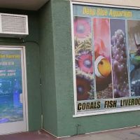 Deep Blue Aquarium ico