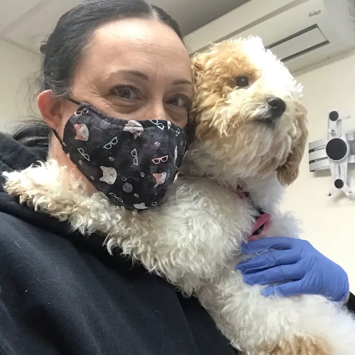 Veterinary Care Group - Whitestone Picture 9