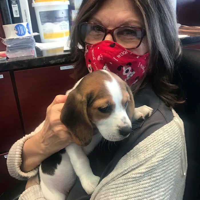 Veterinary Care Group - Whitestone Picture 8