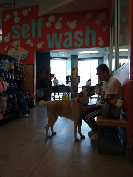 Unleashed by Petco Picture 1
