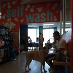 Unleashed by Petco