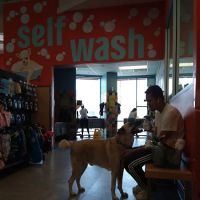 Unleashed by Petco ico