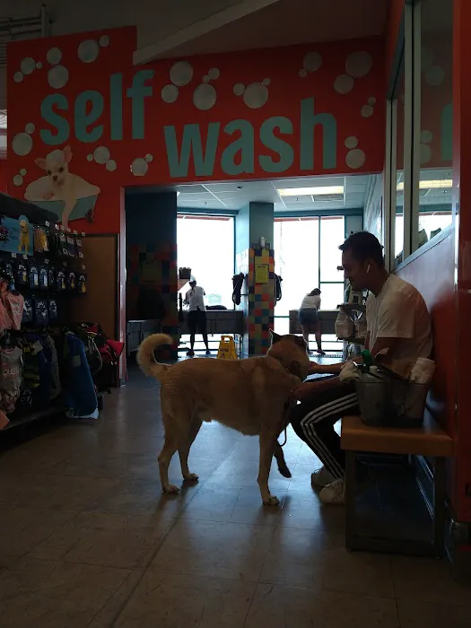Unleashed by Petco Picture 2