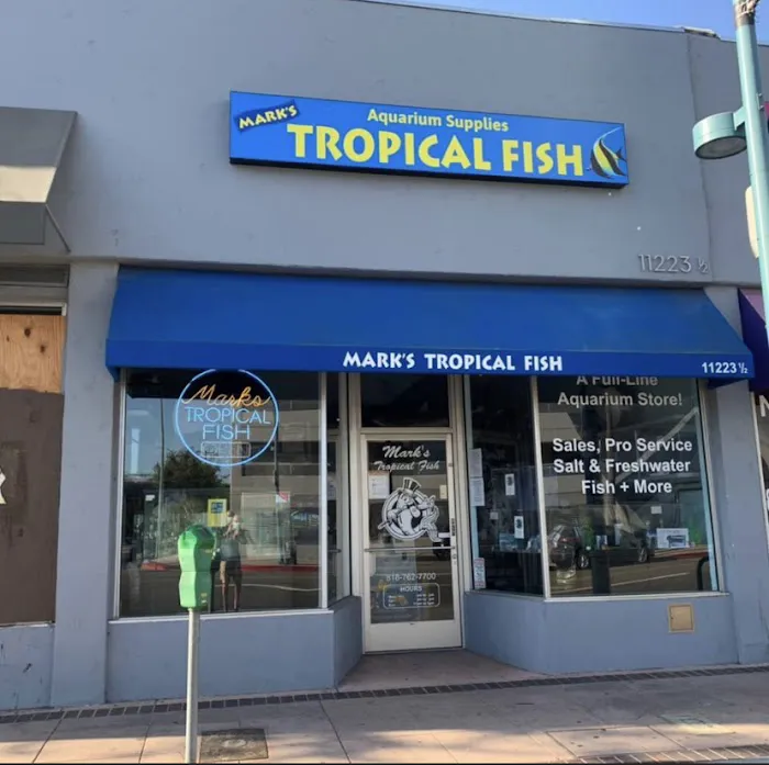 Mark's Tropical Fish Picture 2