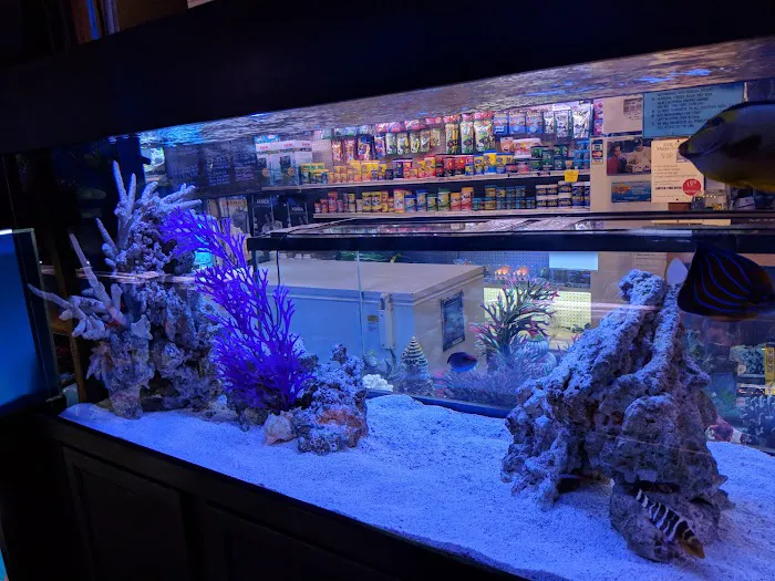 Mark's Tropical Fish Picture 1