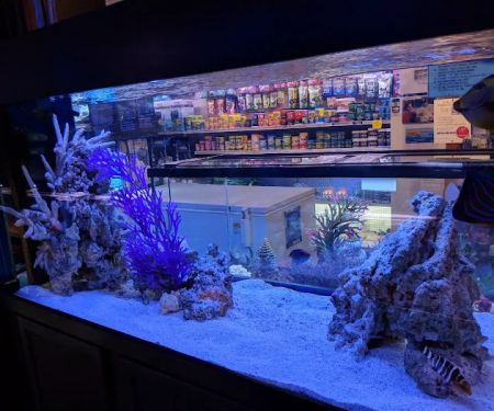 Mark's Tropical Fish