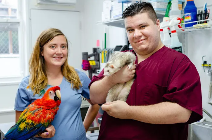 Long Island Bird & Exotics Veterinary Clinic Picture 1