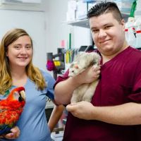 Long Island Bird & Exotics Veterinary Clinic ico