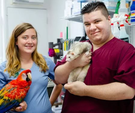 Long Island Bird & Exotics Veterinary Clinic