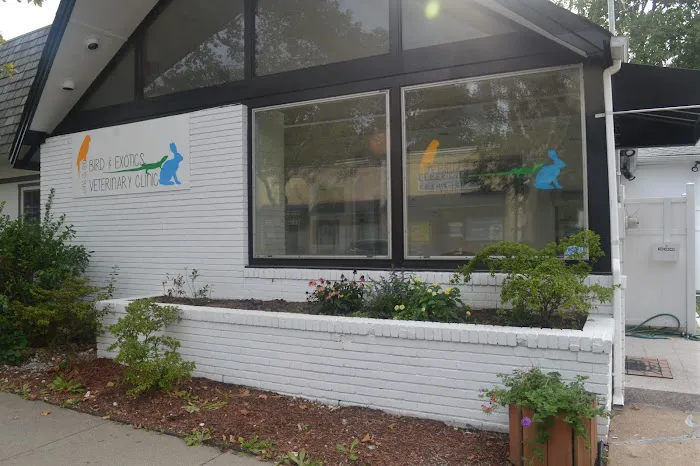 Long Island Bird & Exotics Veterinary Clinic Picture 5