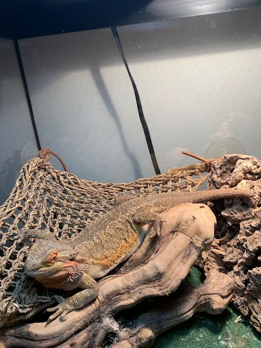 Long Island Bird & Exotics Veterinary Clinic Picture 8