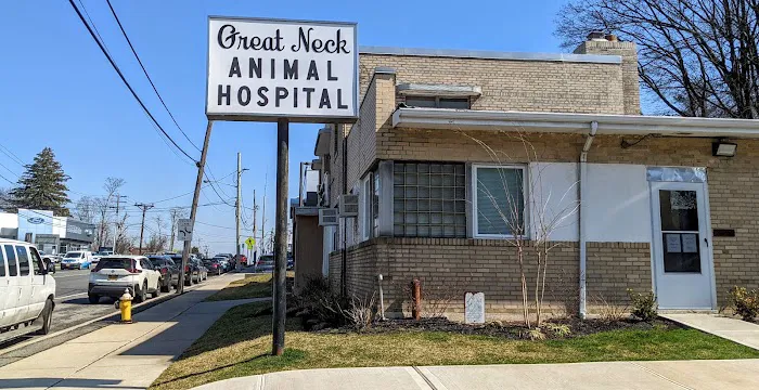 Great Neck Animal Hospital Picture 2
