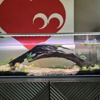 Zan's Aquatica ico