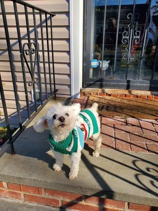 West Hempstead Animal Hospital Picture 7