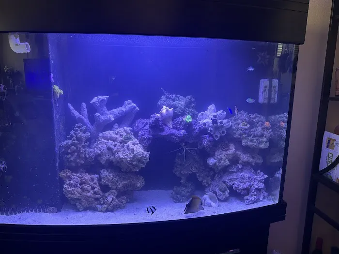 theaquariumservice.com Picture 7