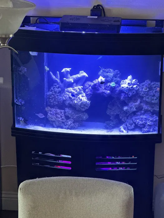 theaquariumservice.com Picture 3
