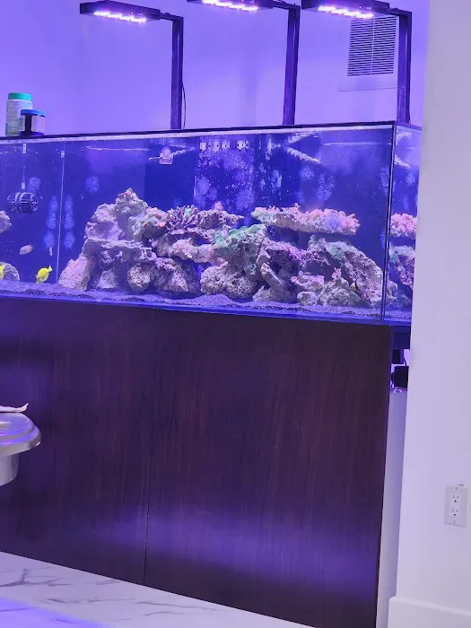 theaquariumservice.com Picture 6
