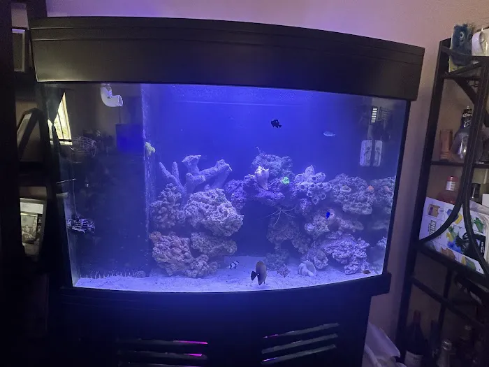 theaquariumservice.com Picture 2