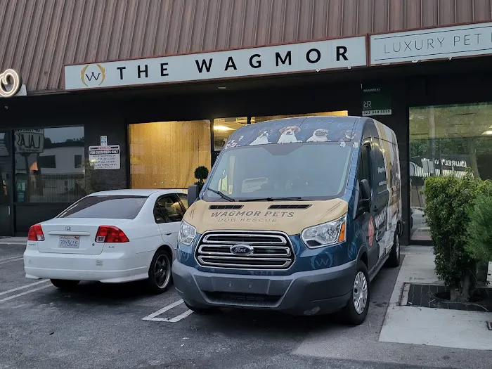 Wagmor Pets Picture 1