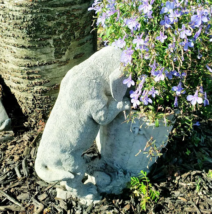 Terry Animal Hospital Picture 8
