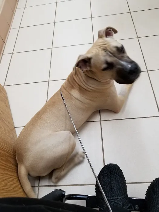 Terry Animal Hospital Picture 10