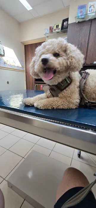 Terry Animal Hospital Picture 9