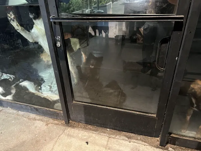 Wylder's Holistic Pet Center & Rescue Picture 1