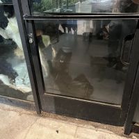 Wylder's Holistic Pet Center & Rescue ico