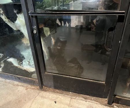Wylder's Holistic Pet Center & Rescue
