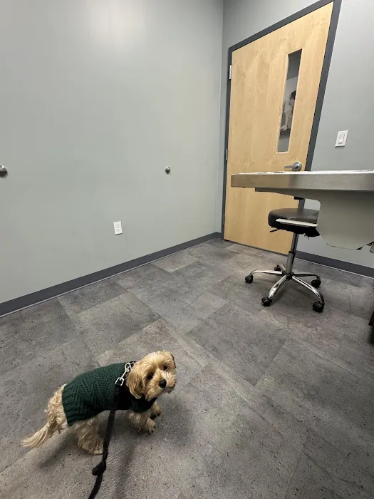 Premier Veterinary Medical Group - Rockville Centre Picture 2