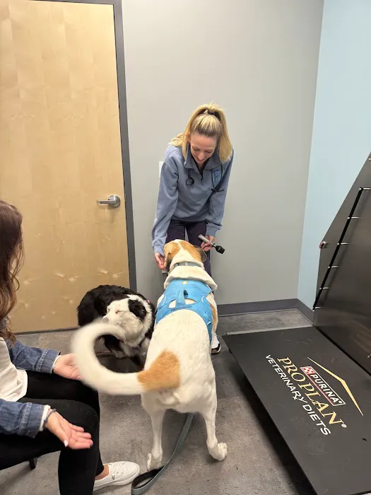 Premier Veterinary Medical Group - Rockville Centre Picture 5