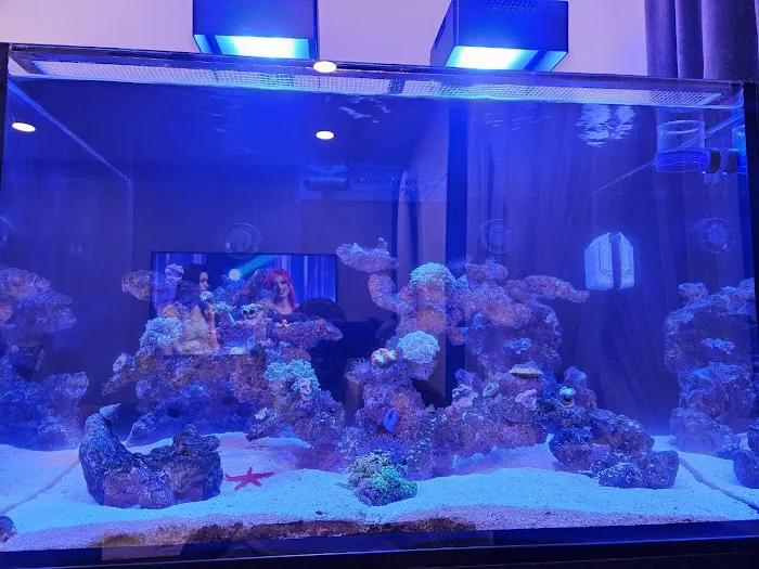 Salty Life Aquarium Service Picture 2