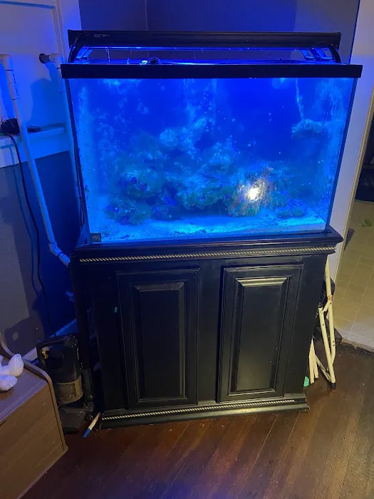 Salty Life Aquarium Service Picture 3