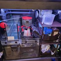 Salty Life Aquarium Service ico